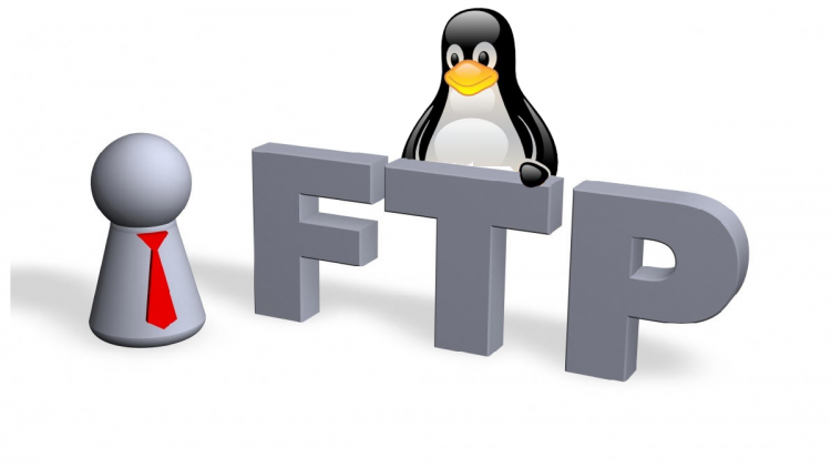 ftp-linux-1.png